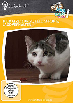 Kein Bild vorhanden!