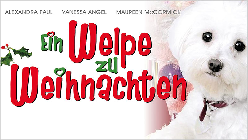 Kein Bild vorhanden!