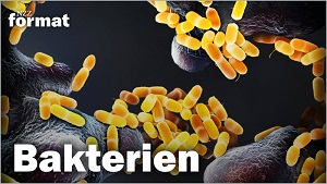 Kein Bild vorhanden!