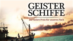 Kein Bild vorhanden!