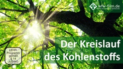 Kein Bild vorhanden!