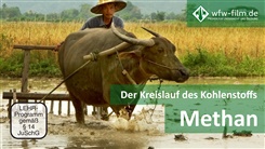 Kein Bild vorhanden!
