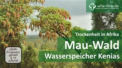 Kein Bild vorhanden!