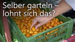 Kein Bild vorhanden!