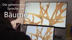 Kein Bild vorhanden!