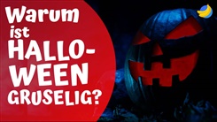 Kein Bild vorhanden!