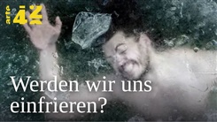 Kein Bild vorhanden!