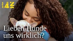Kein Bild vorhanden!