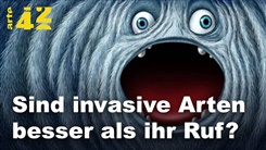 Kein Bild vorhanden!