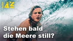 Kein Bild vorhanden!