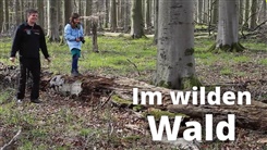 Kein Bild vorhanden!