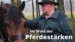 Kein Bild vorhanden!