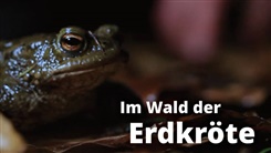 Kein Bild vorhanden!