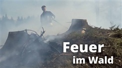 Kein Bild vorhanden!