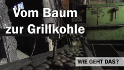 Kein Bild vorhanden!