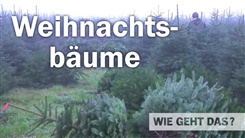 Kein Bild vorhanden!