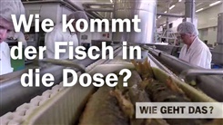 Kein Bild vorhanden!