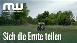 Kein Bild vorhanden!