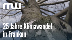 Kein Bild vorhanden!