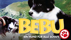 Kein Bild vorhanden!
