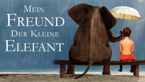Kein Bild vorhanden!