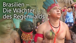 Kein Bild vorhanden!