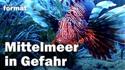 Kein Bild vorhanden!
