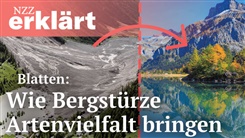 Kein Bild vorhanden!