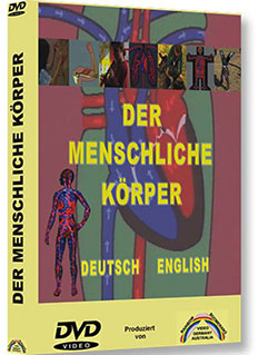 Kein Bild vorhanden!