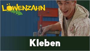 Kein Bild vorhanden!