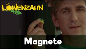 Kein Bild vorhanden!