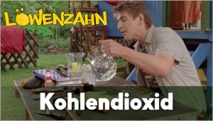 Kein Bild vorhanden!