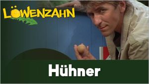 Kein Bild vorhanden!
