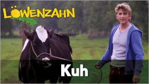 Kein Bild vorhanden!