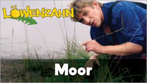 Kein Bild vorhanden!