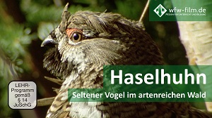 Kein Bild vorhanden!