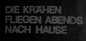Kein Bild vorhanden!
