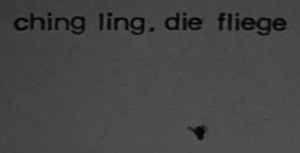 Kein Bild vorhanden!
