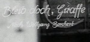 Kein Bild vorhanden!