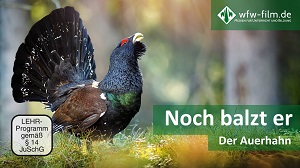 Kein Bild vorhanden!