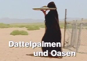 Kein Bild vorhanden!