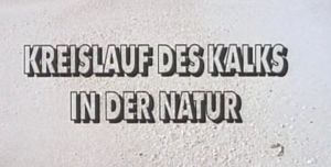 Kein Bild vorhanden!