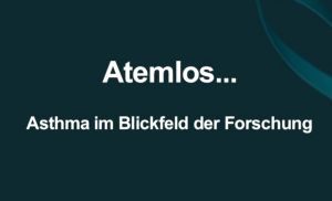 Kein Bild vorhanden!