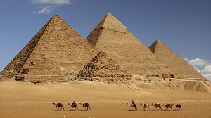 Kein Bild vorhanden!