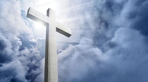 Kein Bild vorhanden!