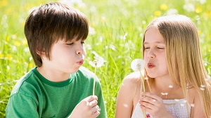 Kein Bild vorhanden!