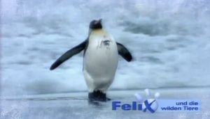 Kein Bild vorhanden!