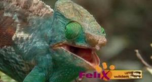 Kein Bild vorhanden!