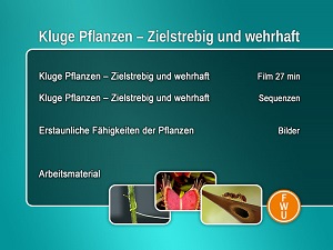 Kein Bild vorhanden!