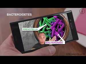 Kein Bild vorhanden!
